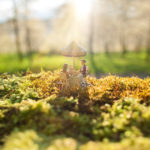 Macro Miniaturfotografie outdoor Figur ,,Frühstück"