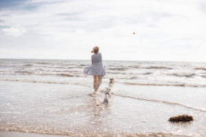 Urlaubsfoto Hunde