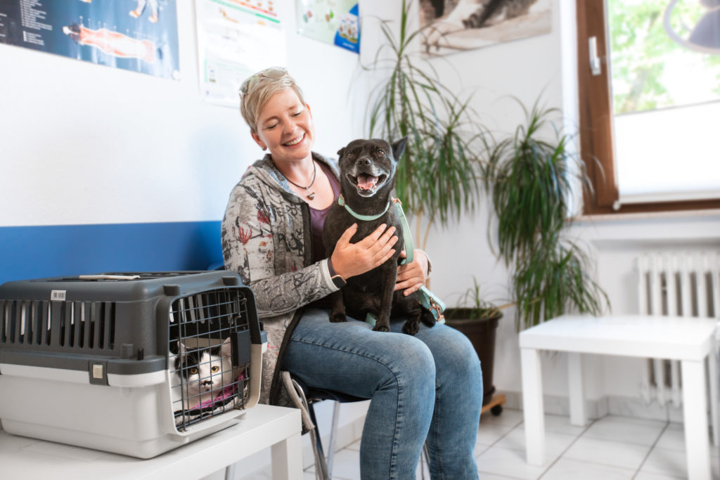 Hund beim Tierarzt im Wartezimmer