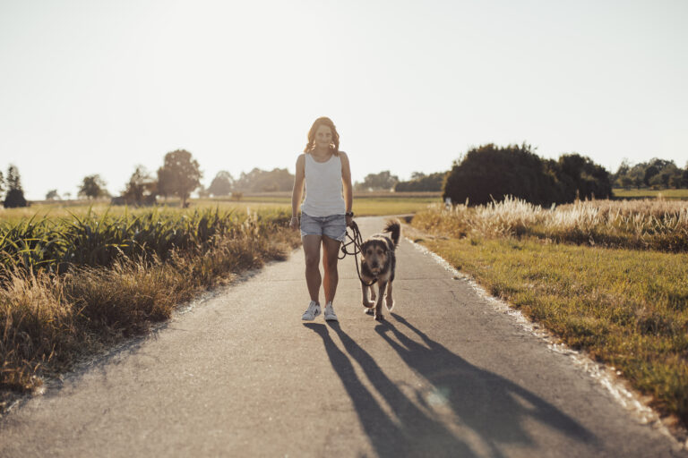 dog with owner, photoshoot in sunset